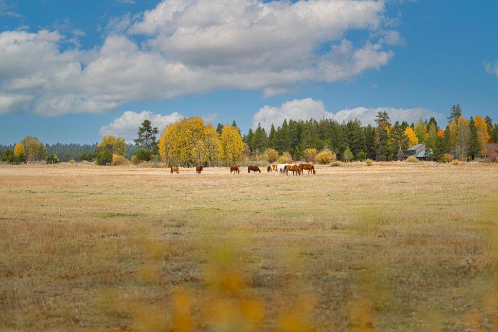 Coyote - Unit 15 Villa Sunriver Bagian luar foto